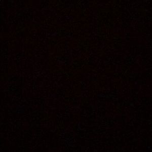 Meet your Posher, Priscilla